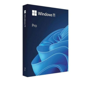 Microsoft Windows 11 Pro 64-bit