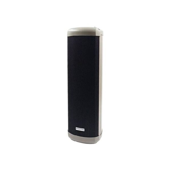 Master Team LSA-430 30W Modern Design Vertical Outdoor Speaker