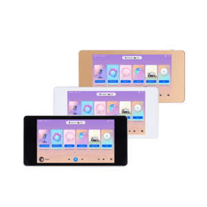 DSPPA DM838II 2×20W Stereo Network Music Amplifier